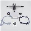 UYTGFO Adatto for STIHL TS410 TS420 50 mm cilindro pistone albero motore guarnizione paraolio cuscinetto kit di ricostruzione for sega for cemento troncatrice parti di riparazione(Crankshaft Kit)