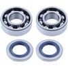 UYTGFO Adatto for motosega Husqvarna 50 51 55 EPA Rancher 503573806 51 55 Kit guarnizioni cuscinetto paraolio albero motore pistone 45 mm 46 mm(Bearing Kit)