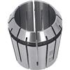 Haofy Collé Chuck Primavera Collet (D = 25 mm)