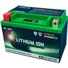 Skyrich HJTX9-FP batteria ricaricabile industriale Litio 12 V