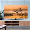 Hixingo Copertura TV Antipolvere, Paesaggio Copri Televisore Copertura Televisore Cover TV Copri TV Protezione TV Universale Elastica Custodia Protettiva TV (55inch,Gru)