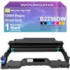 Woungzha Tamburo B220Z00 Nero per Lexmark MB2236i B2236dw MB2236adw MB2236adwe (1 Tamburo)