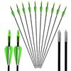 AMEYXGS 12/24pcs Tiro con L'arco Frecce in Vetroresina 31 Frecce per Tiro al Bersaglio Spine 900 per Caccia e tiro (12pcs, Grün)
