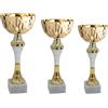 Hole Gadget Tris di Premiazioni Personalizzate Economiche Coppe e Trofei Sportivi con Targhetta Inclusa Premio per Tutti Gli Sport e Riconoscimento o Fantacalcio (13.599)