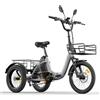Antgooat AG1 Pro triciclo elettrico per adulti con batteria 48V e 150km di autonomia, bici elettrica pieghevole in alluminio con freni Shimano MT200, cargo bike con sblocco NFC e retromarcia