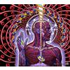 JYWDZSH Stampa su Tela Trippy Alex Grey Abstract Wall Art Canvas Painting Poster E Stampa Immagini Psichedeliche Soggiorno Decorazione Home Decor, Come Mostrato, 70X100Cm Senza Cornice