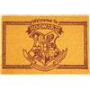 SD TOYS - Zerbino ingresso Harry Potter, in fibra di cocco e vinile antiscivolo, giallo, 60 x 40 cm