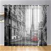 Odot Tende in Voile per Interni Semi Trasparenti 2 Pezzi con Stampata Architettonico Città 3D, Tenda con Occhielli per Finestre Soggiorno Cucina Camera da Letto Balcone (107x244cm,Parigi)