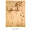 1art1 Leonardo da Vinci Poster Studio De Cavallo, 1493-1494 Stampa 91x61 cm