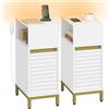 Hzuaneri set da 2 Comodino, tavolino stretto con illuminazione a LED, 1 porta USB-A, 1 porta USB-C, comodino con scomparto laterale aperto, per camera da letto, soggiorno, Bianco-Oro NS00603G