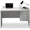 WHOUS Scrivania EASY per Ufficio, Studio o Camera con 1 Cassetto e 1 Anta, Ideale per Adulti e Bambini, 110x50x75 cm, Bianco Opaco e Cemento