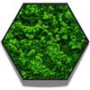 I GIARDINI DI GIULIA - Quadro Esagonale Verde Stabilizzato con Muschio e Licheni Naturali - Decorazione Vegetale di Design per Casa e Ufficio - Senza Manutenzione (Esagonale 40x40 cm., con Cornice)