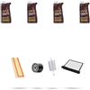 HOFFCAR Kit tagliando 4 FILTRI e 4L OLIO M compatibile con Renault Twingo II 1.2 16v 55kw Dal 2007