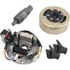 PowerMotor 2 bobine di accensione magneto, piastra statore con volano e estrattore di volano, ricambio per 90 cc, 110 cc, 125 cc, 140 cc, Taotao, Kazuma, SSR, Baja, Dirt Pit Bike cinese, ATV, Quad a 4