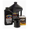 Shop Bikers Kit Tagliando Spectro Olio Motore 20w-50 + Primaria + Cambio + Filtro Olio Nero + Candele X Compatibile Con Harley Davidson Sportster Dal 1984 Ad Oggi - Completo E Affidabile