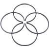 JOVERI Kit fasce elastiche 48 mm x 1,5 mm, for Husqvarna 61 365 261 262 162 165 265 503289015 Pezzo di ricambio for motosega 4 pezzi Fascia elastica per macchine da giardino