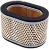 Champion ION Filtro aria 955 Sprint 2002 2004 (CAF5503) (Filtri Aria) / Air filter ion 955 Sprint 2002 2004 (CAF5503) (Air Filters)