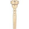 RiToEasysports Bocchino per tromba, in ottone dorato, accessori per tromba, parti (7C)