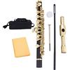 Acouto Piccolo Ottavino Placcato Oro con Custodia Imbottita per Amanti della Musica e Principianti (GOLD)