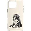 Newfoundland Lover Gifts Custodia per iPhone 16 Pro Max Divertente cane Terranova con occhiali da sole