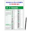 Gicaprice Calendario 2026 - Calendario personalizzato 2026, Stampa a colori il tuo logo, foto, grafica, ecc - penna omaggio - (1 calendario da muro verde)