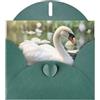 YYHWHJDE - Biglietto di auguri con immagine di cigno bianco, 15,2 x 10,2 cm, con effetto perlato su entrambi i lati e inchiostro ecologico