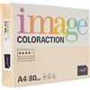 Steinbeis Kopa - Risma di carta Coloraction Savana in formato A4, 500 fogli, 80 g/mq, colore giallo tenue