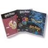 Seven QUADERNO maxi quadernone 5 pezzi RIGO 1R - 5a elementare - Scuola media - MAX qty + 30% fogli