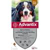 Advantix - Pipetta antiparassitaria per cani molto grandi, 40 - 60 kg, 4 pipette