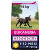 EUKANUBA Cibo per cuccioli con pollo fresco per razze di taglia grande, alimento secco premium per cuccioli, 15 kg