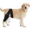 TRIrunpdl, Ginocchiera per cani per lacerazione Acl e lesioni Ccl, Ginocchiera regolabile per cani per supporto dell'arto posteriore con stabilizzatori in metallo, Ginocchiera per cani per l'arto