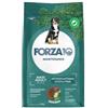 Generico Forza 10 Cane Maxi Adult MONO gusto AGNELLO alimento completo monoproteico per cani adulti di taglia grande, confezione da 12kg.