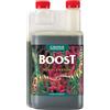 CANNA Boost Accelerator, 250 ml