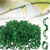 Topbashgo Giardino Piante Clip di Supporto, Supporto per Piante, Clip per Piante da Giardino, Plastica Garden Plant Flower Clip, Clip per Innesti Giardinaggio, Pomodoro Verdure Clip (300, Verde)