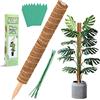 Augshy Asta di muschio, Augshy Lunghezza totale 50cm Totem in fibra di cocco - 2 pezzi Asta di muschio da 30cm, Bastoncino di muschio in fibra di cocco per Monstera Climbing