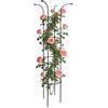 Generico Giardino Traliccio - Supporto Stabile Antiruggine per Piante Rampicanti | Struttura da Esterno a Torre per Fiori | per Vite, Rosa, Clematide, Ortaggi, Cetriolo, Ortensie, Pothos