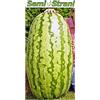Potseed Germinazione I Semi: 3 Semi Gigante Anguria Carolina Croce Concorso genetici