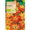 Samen Maier GmbH BIO Cosmea, arancione (Cosmos sulphureus)