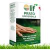 AND HOME Semi Prato UNIVERSALE Per 35/40MQ, INDISTRUTTIBILI al Sole - Crescita Rapida In 14 Giorni, Tappeto Erboso Fitto, Semi Prato Crescita Rapida Resistenti al Calpestio - Adattabile a Tutti i Terreni - 1kg