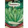 SeedsSelect Semi di OKRA Abelmoschus Esculentus (Hibiscus esculentus)