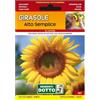 Sicignano Casalinghi Ingrosso Casalinghi Sicignano | Semi Girasole Alto Semplice, Pianta Annuale Decorativa, Grande Infiorescenza Color Giallo Oro Busta Extra - 2 Confezioni da 6g, Pianta da Potatura, Adatta a Pieno Sole