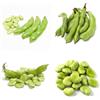 Generic semi di fave bio - fave - fagiolo, rampicanti resistenti da giardino, invernali 10pcs