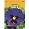 Sicignano Casalinghi Ingrosso Casalinghi Sicignano | Semi Viola del Pensiero Blu - Pianta Nana Fioritura Prolungata 5-7 cm, Busta Extra - 1 Confezione da 0.15g, Raccolta Primaverile
