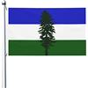 Generic Bandiera Da Giardino Cascadia Bandiere Decorative Antivento Bandiera Da Cortile Lavabile Garden Flag Per Celebrazioni Esterno Festival 90X152CM