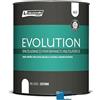 Rio Verde EVOLUTION colore Cotone RN2000 Smalto a prestazione avanzate marca lt. 0,750