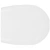 senza SEDILE WC IN TERMOINDURENTE PER GLOBO BOWL +55 FORMA 6 Bianco - Soft Close