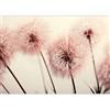 murando Carta da parati Floreale Soffione 450x315 cm Fotomurali in TNT Murale alla moda Decorazione da Muro XXL Poster Gigante Design Cameretta Carta per pareti Natura Botanico Pianti b-B-0669-a-d