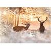 Runa Art Carta da parati fotografica inverno Elche 352 x 250 cm Vello Sfondo Murale XXL Moderne Decorazione Soggiorno Camera De Letto Sala Ufficio Bianco Arancione 9212011a