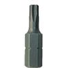 Bricoleva.it Inserti Torx e Inserti a Croce per avvitatore a batterie - Punta a Stella e Torx per Cacciavite e Trapano - Ideali per Lavori Fai da Te (Inserto Torx T30)