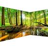 murando Carta da parati d'Angolo Foresta Paesaggio 550x250 cm Fotomurali in TNT Murale alla moda Decorazione da Muro XXL Poster Gigante Design Carta per parete Natura Alberi verde Sole c-B-10040-a-a